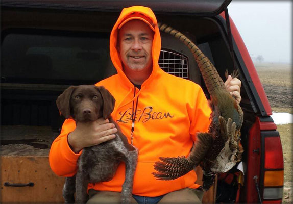 Speed Gracie German Shorthair Pup